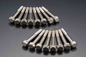Chrome Cam Cover Bolt Set Z1