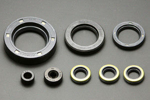 Crankcase Oil Seal Kit