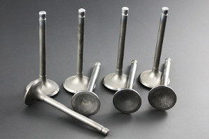 Z1, Z1000 Standard Valve Set