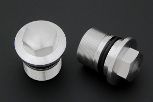 Z1 Fork Caps