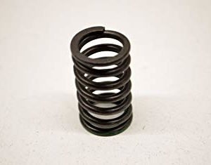 Kawasaki NOS Valve Spring Inner 12007-011