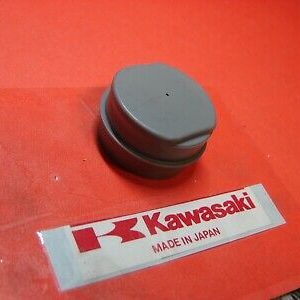 11012-1520 Swing Arm Cap. Mojave ATV