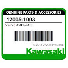 12005-1003 Exhaust Valve Z250