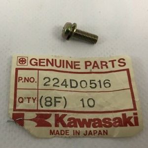 224D0516 Screw-pan-wp-cros,5x1 - ZX10