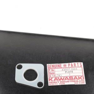 43027-1003 PLATE,DIAPHRAGM Z1R