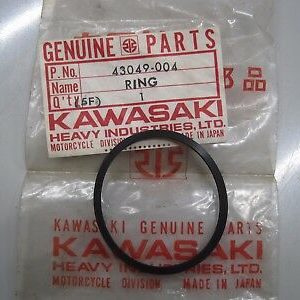 43049-004 Ring, Piston Seal