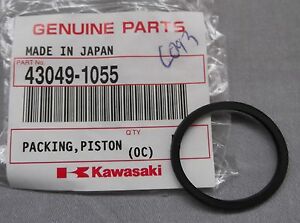 43049-1055 PISTON PACKING