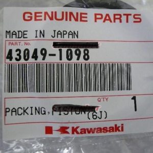 43049-1098 PISTON SEAL PACKING