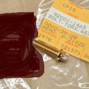 92001-1465 BOLT,TORX,6X20