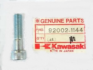 92002-1060 BOLT,8X50