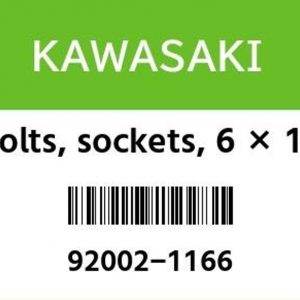 92002-1166 SOCKET BOLT