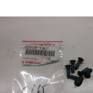 92009-1305 SCREW