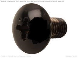 92009-1335 SCREW