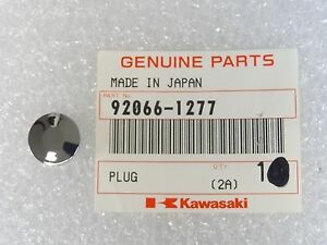 92066-1277 PLUG