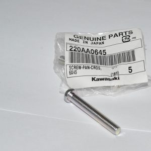 220AA0645 PAN SCREW