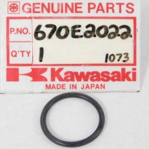 670E2022 O RING.  22mm