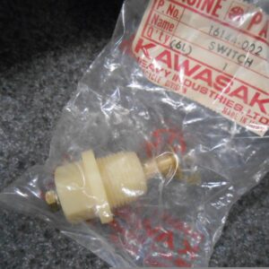 16144-002 OIL PRESSURE SWITCH