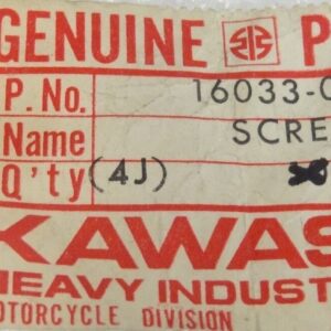 16033-018 SCREW,DRAIN