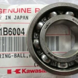 601B6004 BALL BEARING
