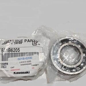 601B6205 BALL BEARING