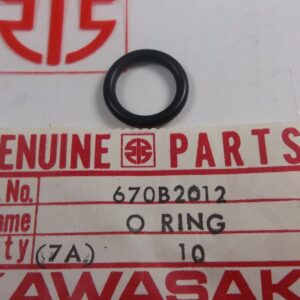670B2012 O RING