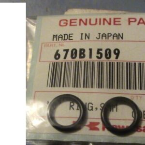 670B1509 O RING