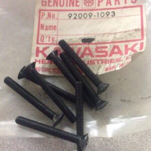 92009-1093 SCREW,CUNTERSNK,4X35