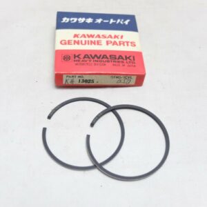 13025-5021. RING-SET-PISTON L,O/S 0.50