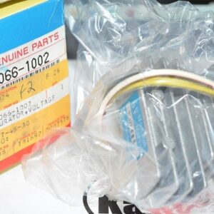 21066-1002 REGURATOR,VOLTAGE