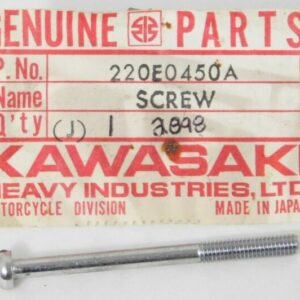 220E0450 SCREW PAN HEAD
