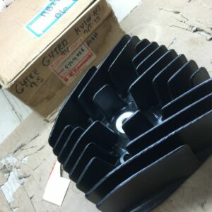 11001-090-21 CYLINDER HEAD, F.BLACK