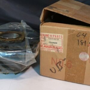 11005-061-21 CYLINDER,FLAT BLACK
