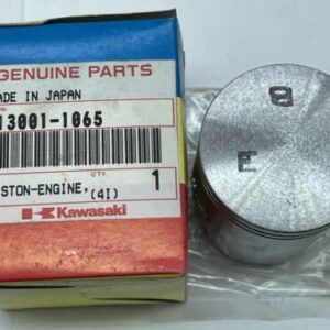 13001-1065. PISTON STD