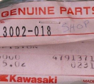 13002-018 PIN-PISTON