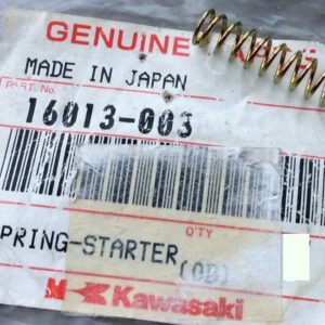 16013-003 PLUNGER SPRING