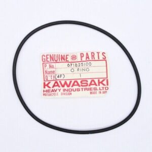671B25100 in.0in. RING,100MM