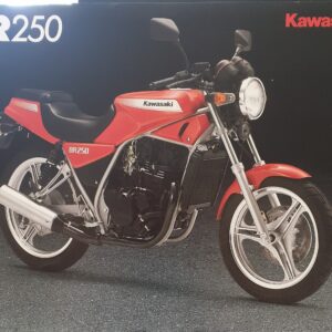1986 KAWASAKI BR250 SALES BROCHURE